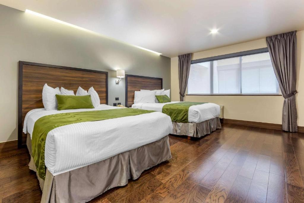 Quality Inn Chihuahua San Francisco Room photo